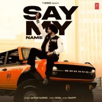 Say My Name Satkar Sandhu mp3 song ringtone, Say My Name Satkar Sandhu Ringtone Download - DjPunjab.Com.Mx