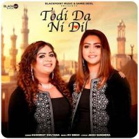 Todi Da Ni Dil Hashmat Sultana mp3 song ringtone, Todi Da Ni Dil Hashmat Sultana Ringtone Download - DjPunjab.Com.Mx