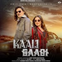 Kaali Gaadi Amit Saini Rohtakiya mp3 song ringtone, Kaali Gaadi Amit Saini Rohtakiya Ringtone Download - DjPunjab.Com.Mx