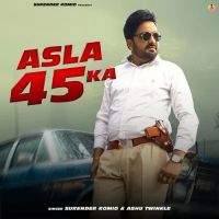 Asla 45 Ka Surender Romio, Ashu Twinkle mp3 song ringtone, Asla 45 Ka Surender Romio, Ashu Twinkle Ringtone Download - DjPunjab.Com.Mx