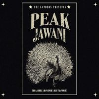Peak Jawani The Landers mp3 song ringtone, Peak Jawani The Landers Ringtone Download - DjPunjab.Com.Mx