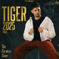 Aim Tiger mp3 song ringtone, Tiger 2025 Vol. 1 Tiger Ringtone Download - DjPunjab.Com.Mx