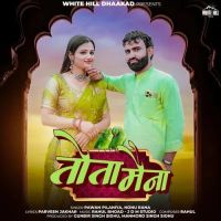 Tota Maina Pawan Pilaniya, Nonu Rana mp3 song ringtone, Tota Maina Pawan Pilaniya, Nonu Rana Ringtone Download - DjPunjab.Com.Mx