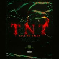 TNT Jxggi mp3 song ringtone, TNT Jxggi Ringtone Download - DjPunjab.Com.Mx